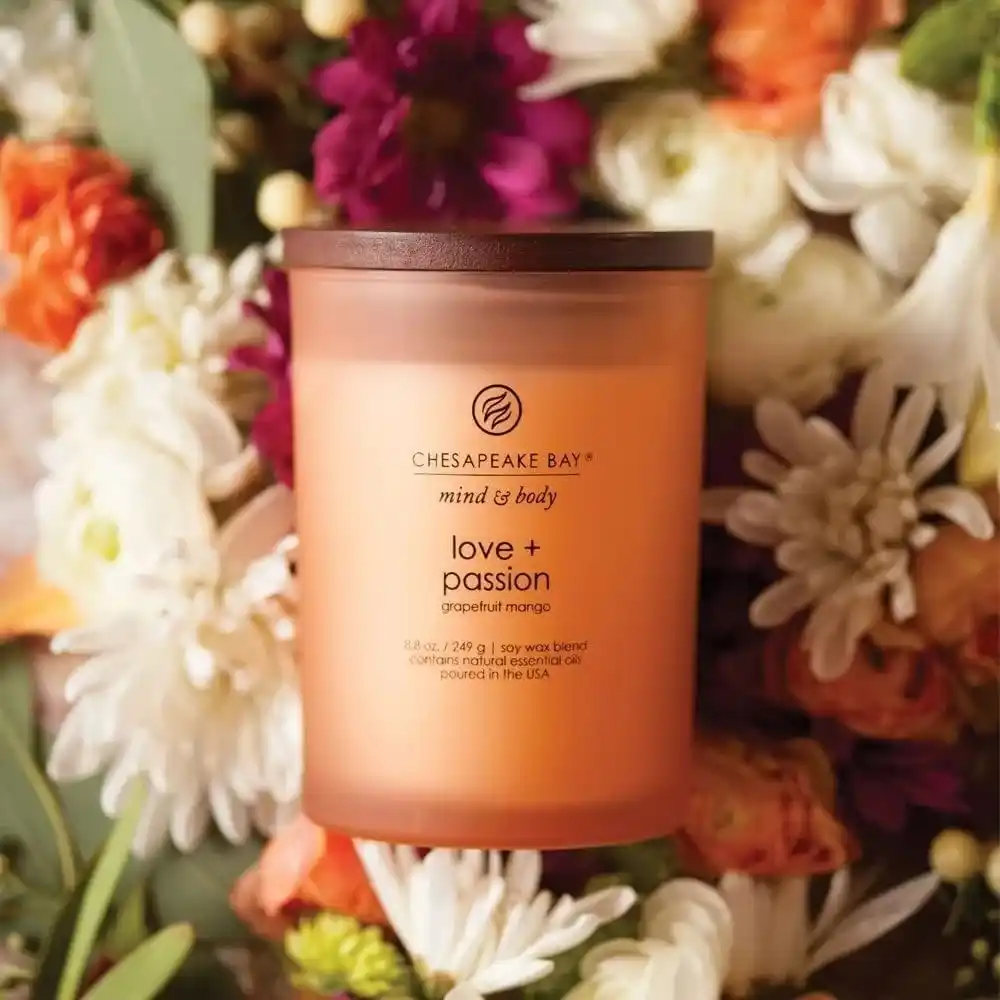 Chesapeake Bay Candle PT31905 Scented Candle